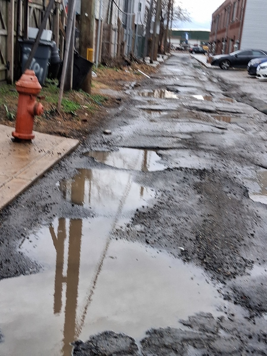 Photographic documentation of the work as submitted to the city's 311 record.