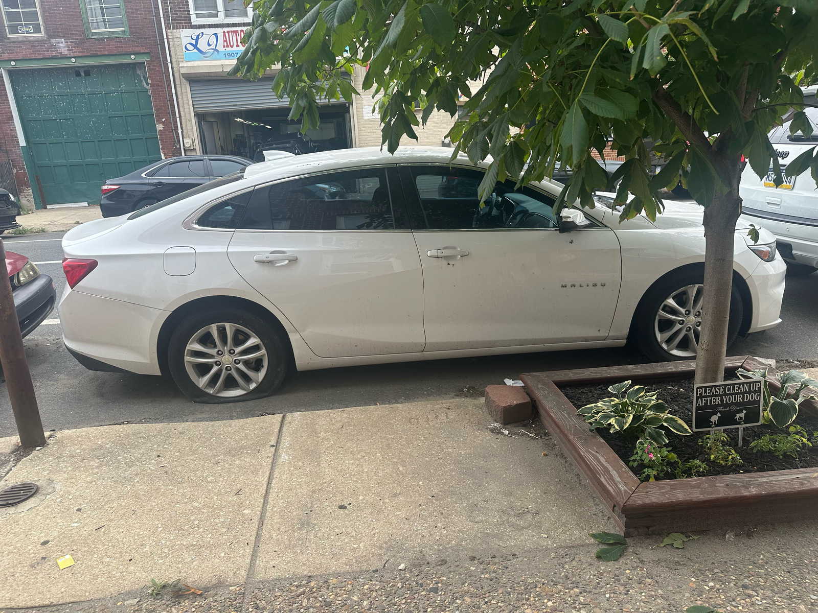 Photographic documentation of the work as submitted to the city's 311 record.