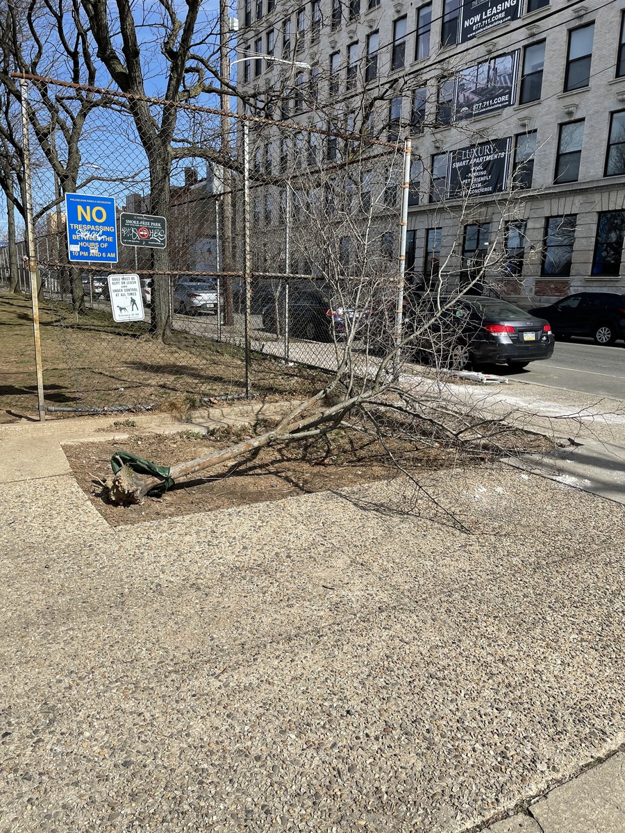 Photographic documentation of the work as submitted to the city's 311 record.