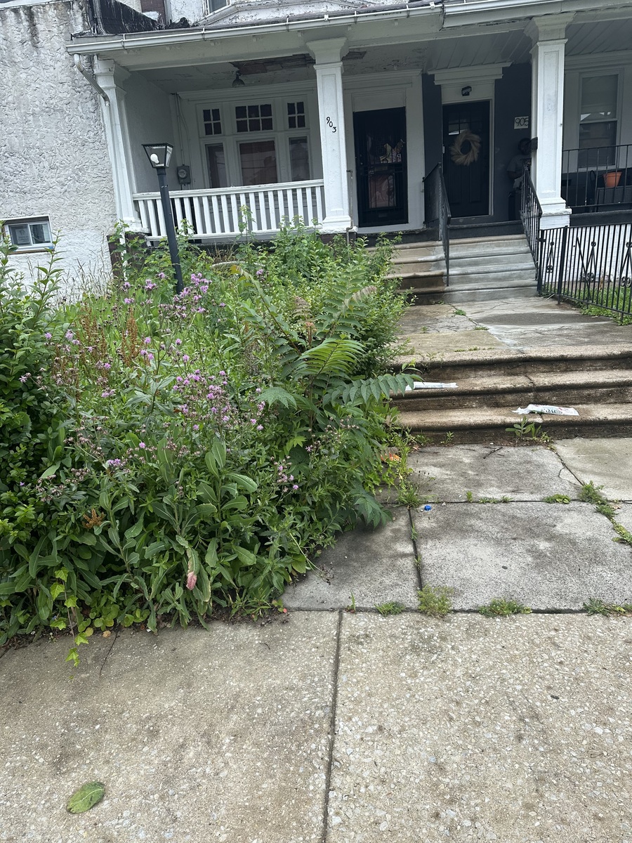Photographic documentation of the work as submitted to the city's 311 record.