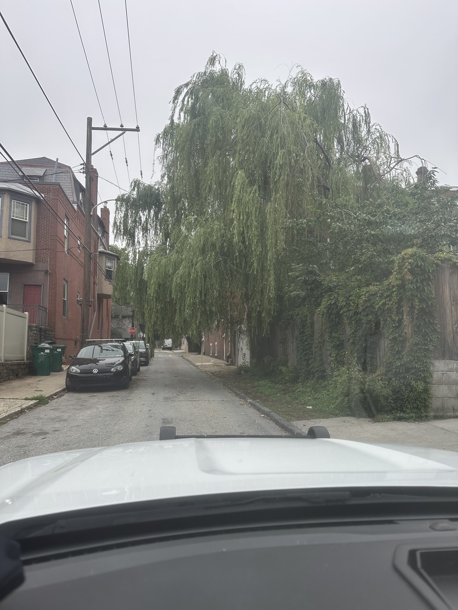 Photographic documentation of the work as submitted to the city's 311 record.