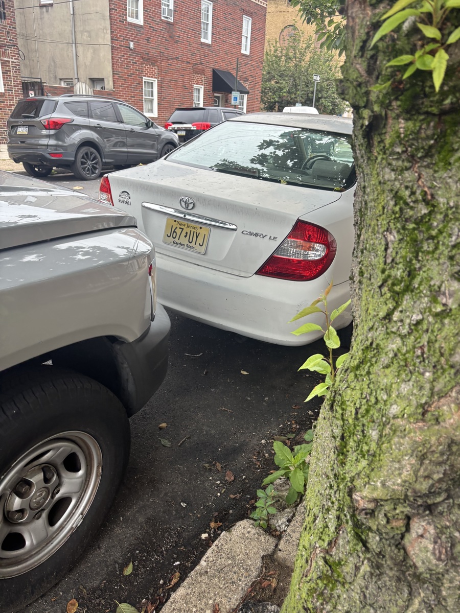 Photographic documentation of the work as submitted to the city's 311 record.