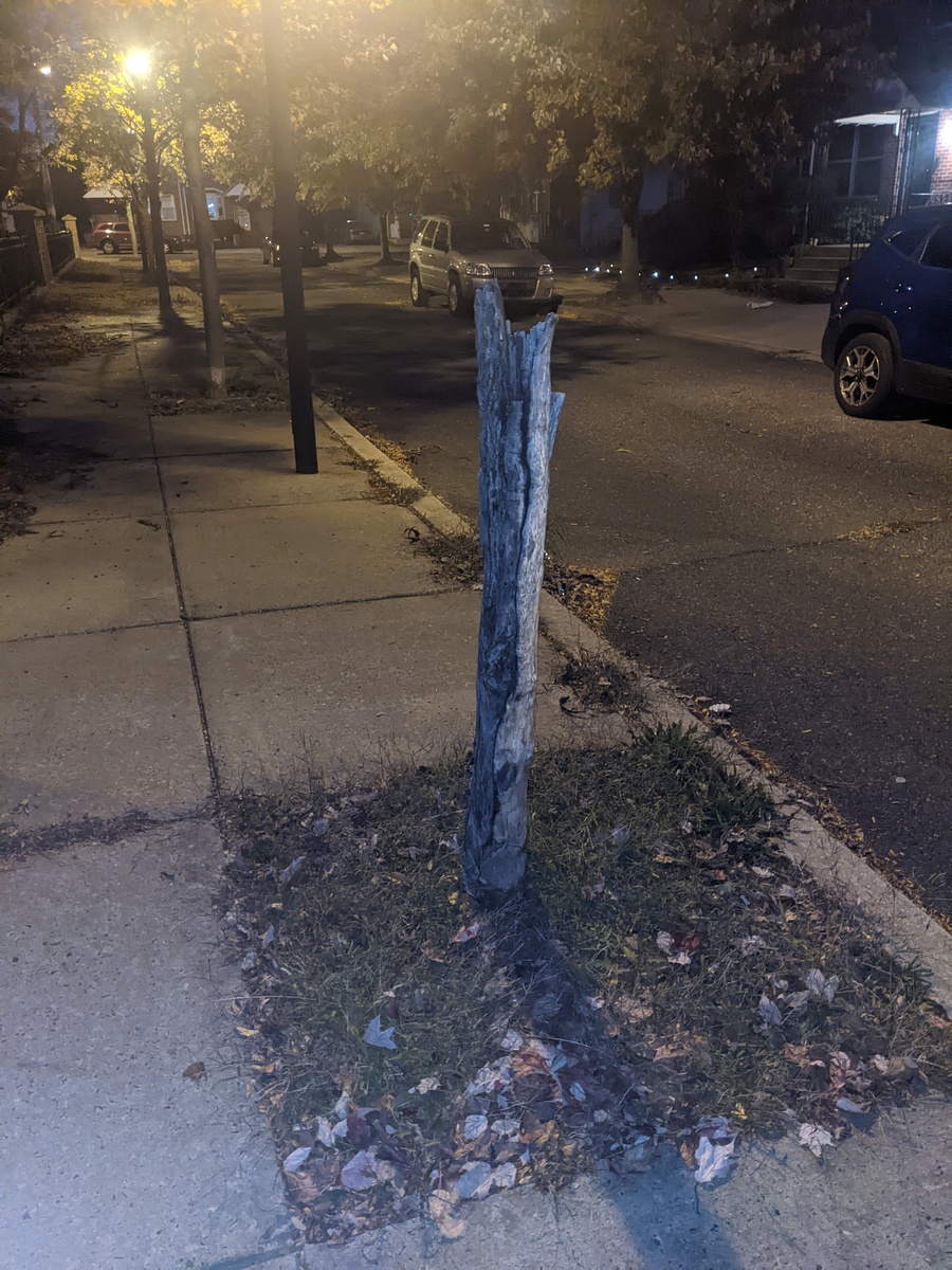 Photographic documentation of the work as submitted to the city's 311 record.