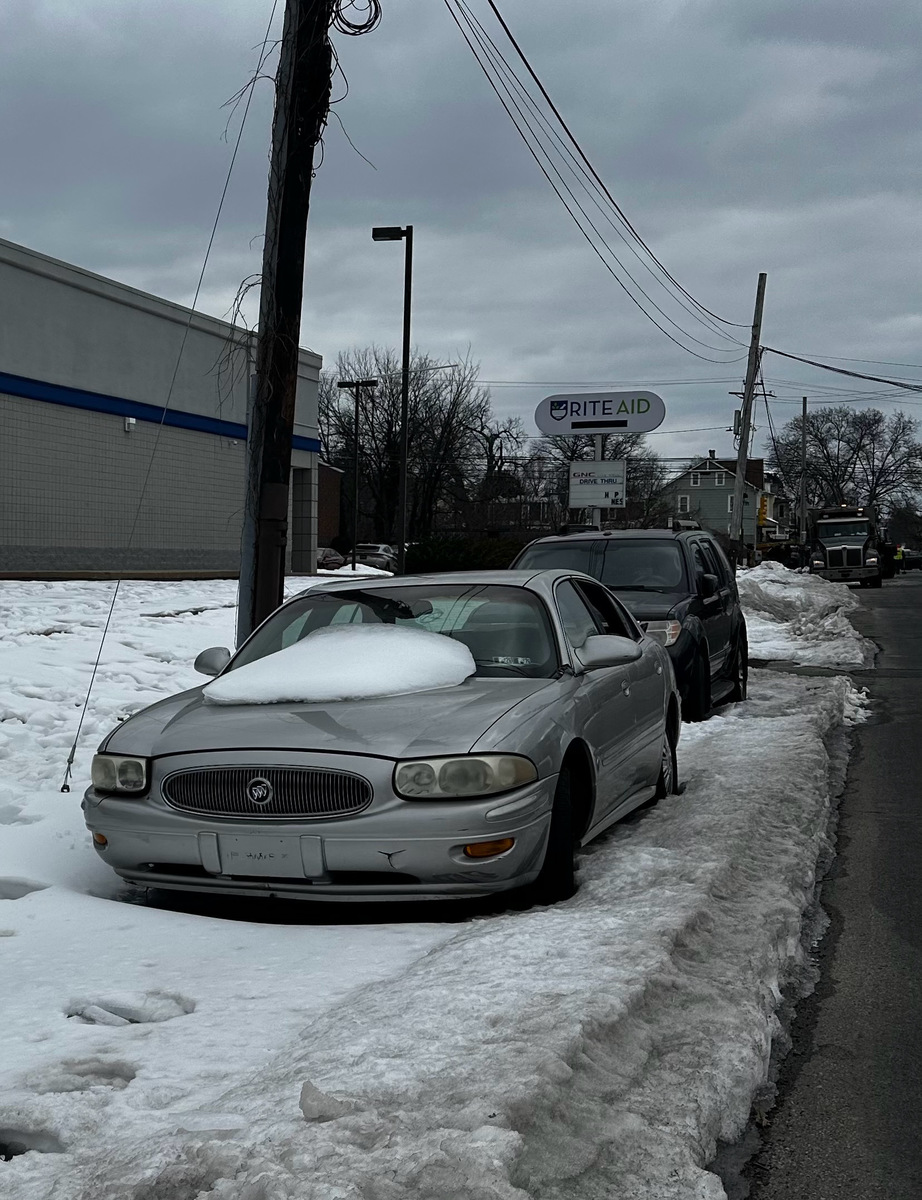 Photographic documentation of the work as submitted to the city's 311 record.