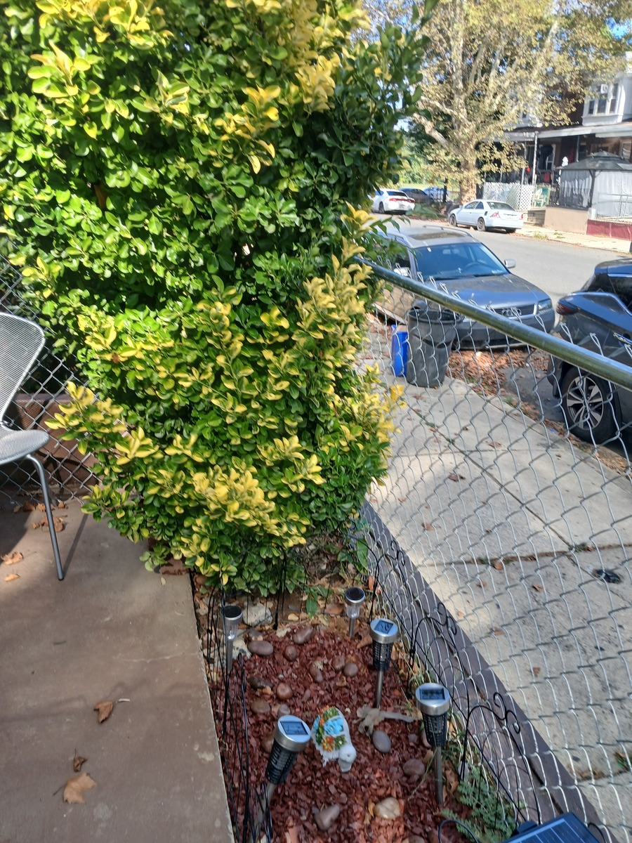 Photographic documentation of the work as submitted to the city's 311 record.