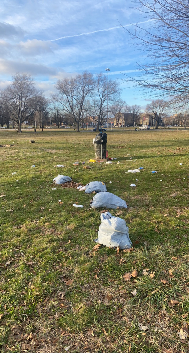 Photographic documentation of the work as submitted to the city's 311 record.