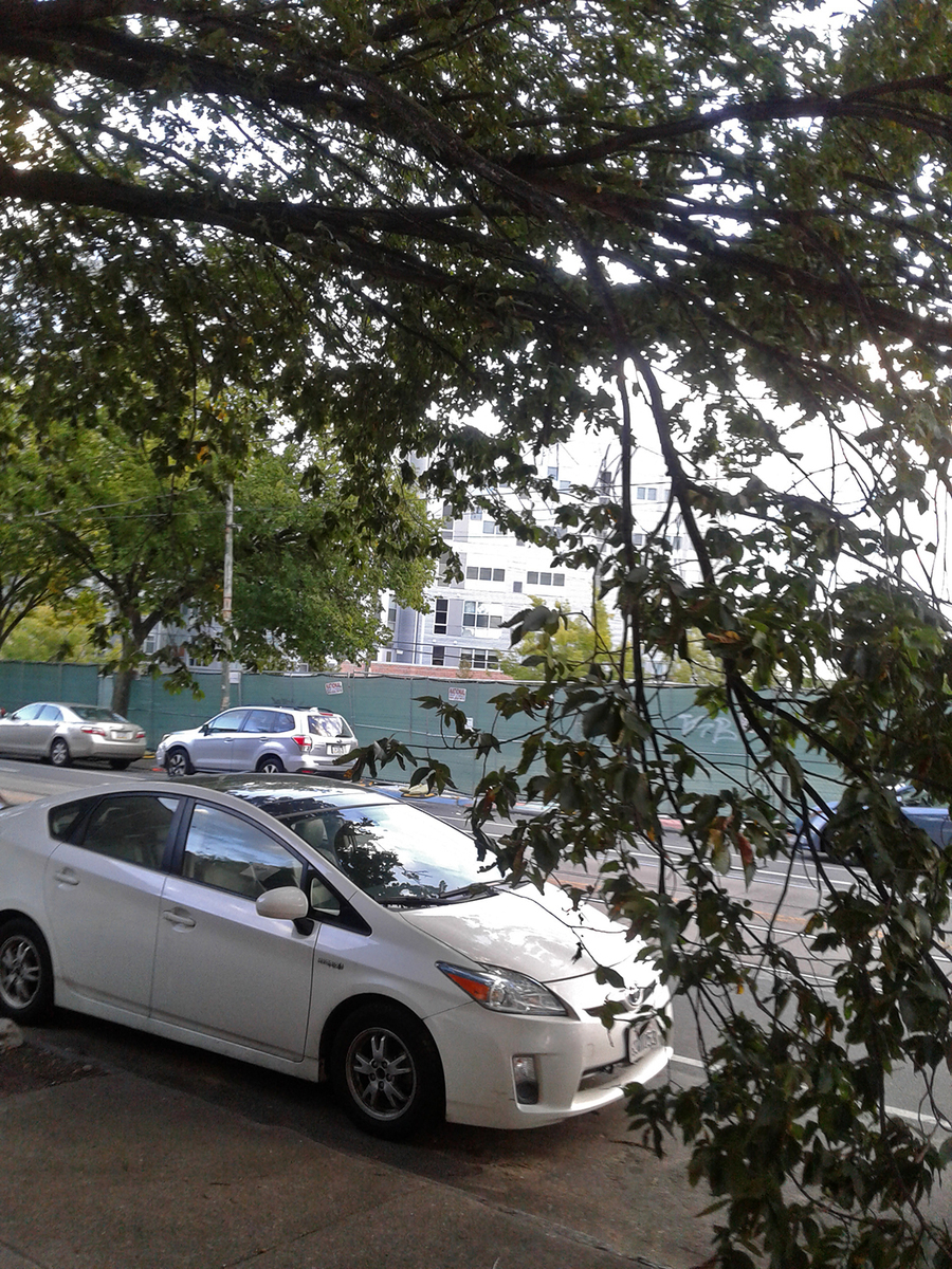 Photographic documentation of the work as submitted to the city's 311 record.