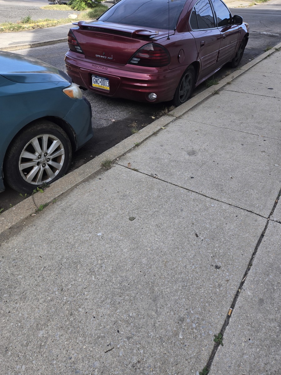 Photographic documentation of the work as submitted to the city's 311 record.