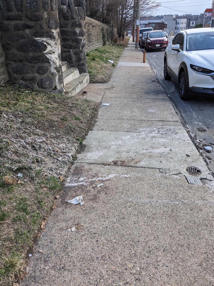Photographic documentation of the work as submitted to the city's 311 record.