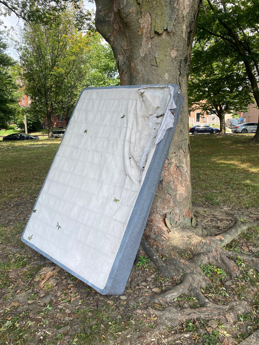Photographic documentation of the work as submitted to the city's 311 record.