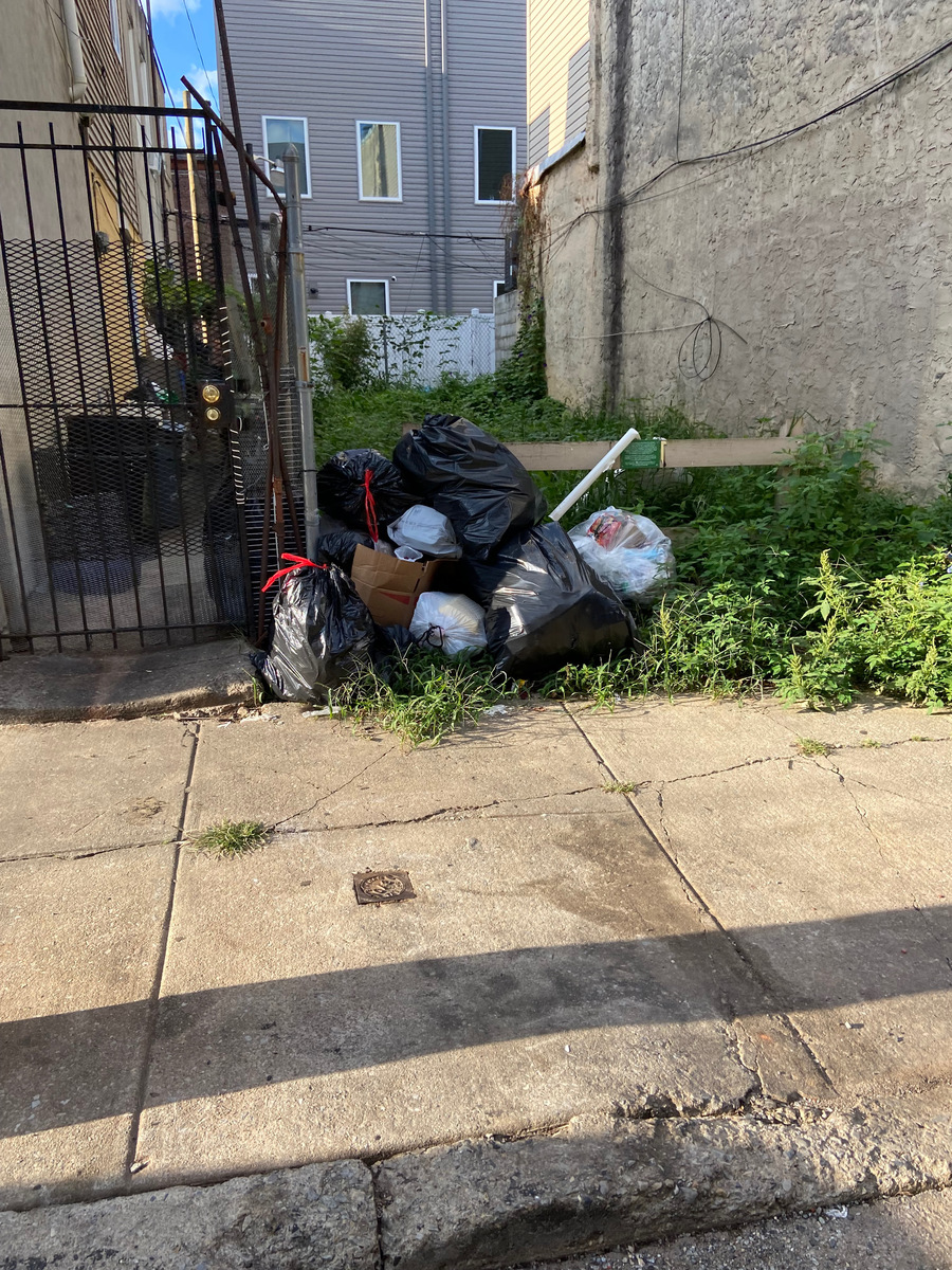 Photographic documentation of the work as submitted to the city's 311 record.