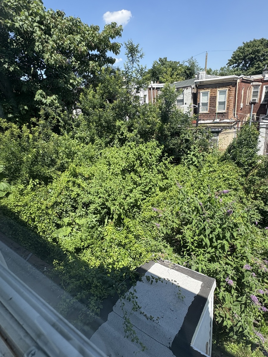 Photographic documentation of the work as submitted to the city's 311 record.