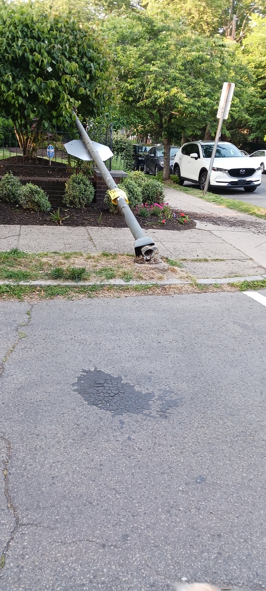 Photographic documentation of the work as submitted to the city's 311 record.
