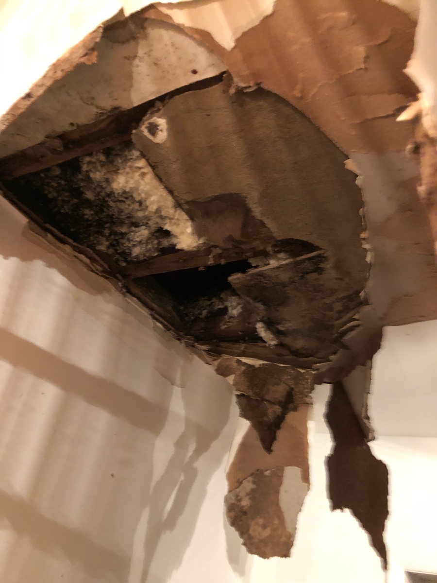 Photographic documentation of the work as submitted to the city's 311 record.