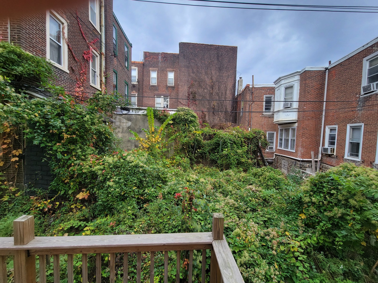 Photographic documentation of the work as submitted to the city's 311 record.