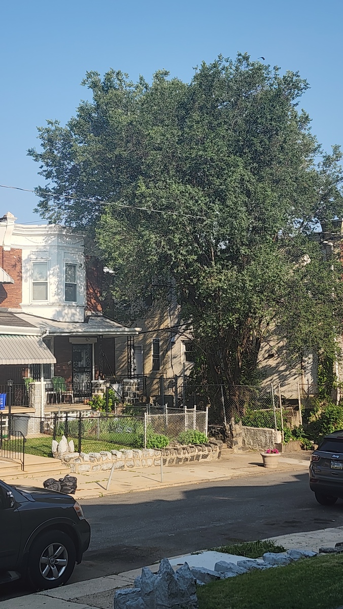 Photographic documentation of the work as submitted to the city's 311 record.