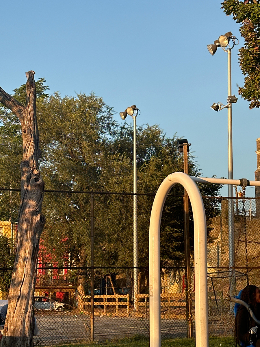 Photographic documentation of the work as submitted to the city's 311 record.