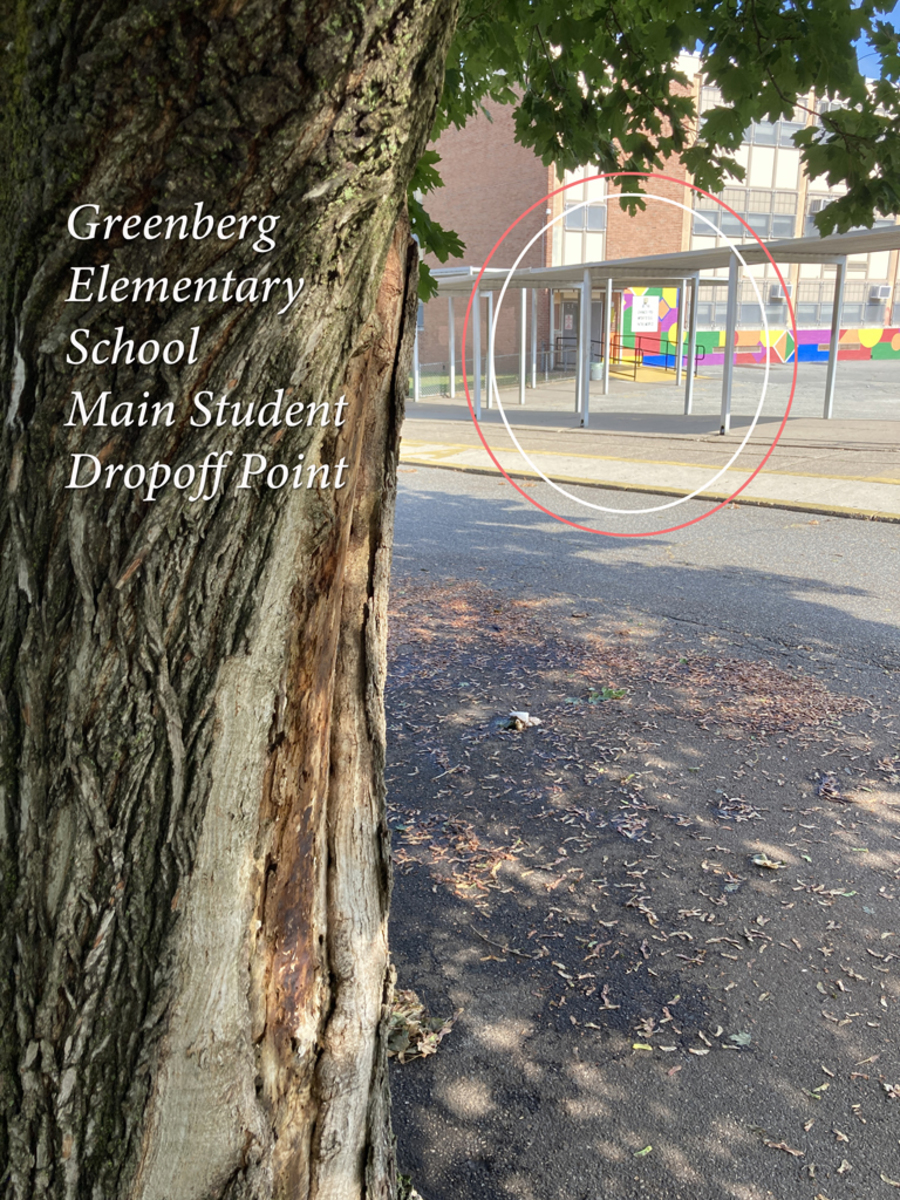 Photographic documentation of the work as submitted to the city's 311 record.