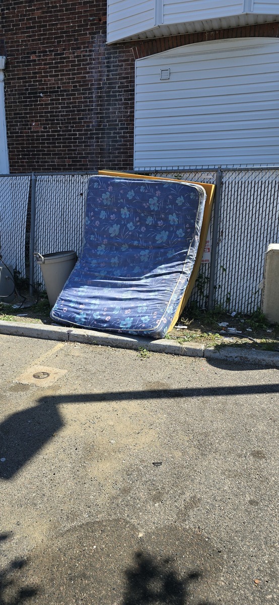 Photographic documentation of the work as submitted to the city's 311 record.