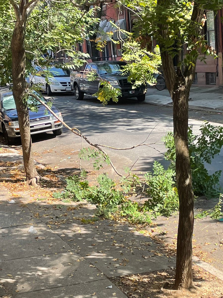 Photographic documentation of the work as submitted to the city's 311 record.
