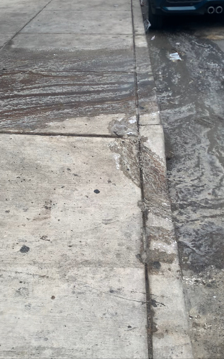 Photographic documentation of the work as submitted to the city's 311 record.