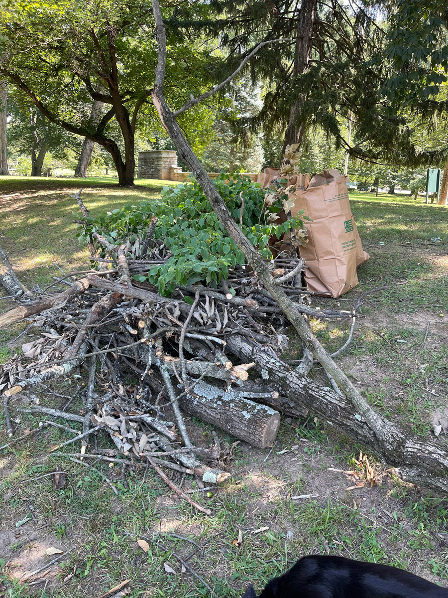 Photographic documentation of the work as submitted to the city's 311 record.