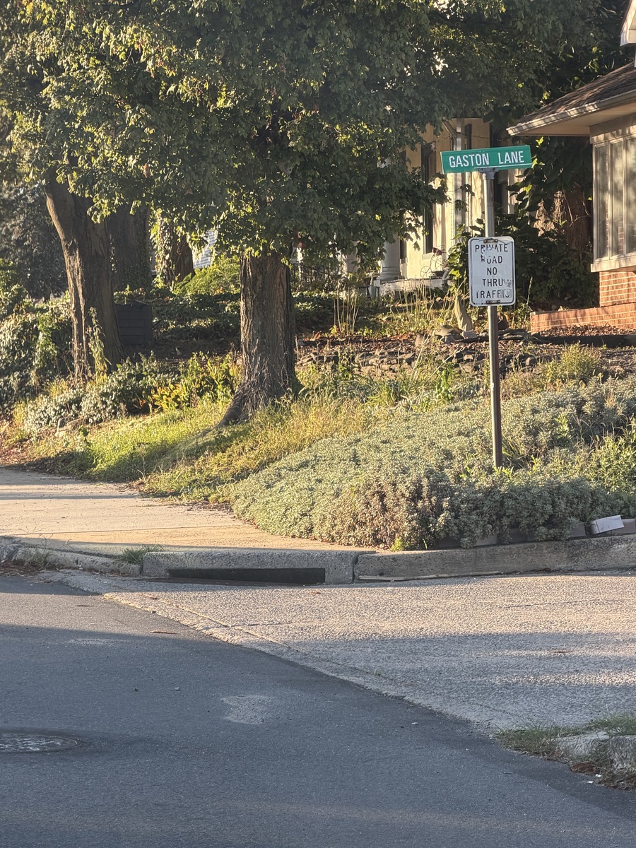 Photographic documentation of the work as submitted to the city's 311 record.