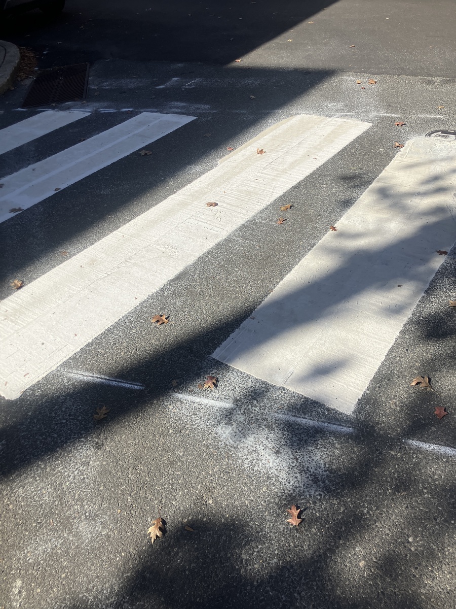 Photographic documentation of the work as submitted to the city's 311 record.