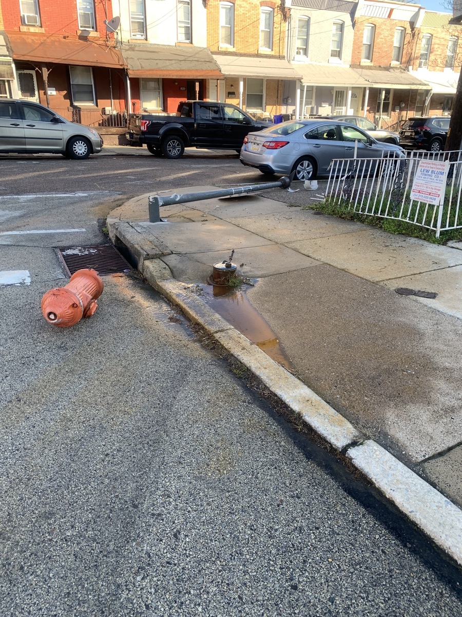 Photographic documentation of the work as submitted to the city's 311 record.