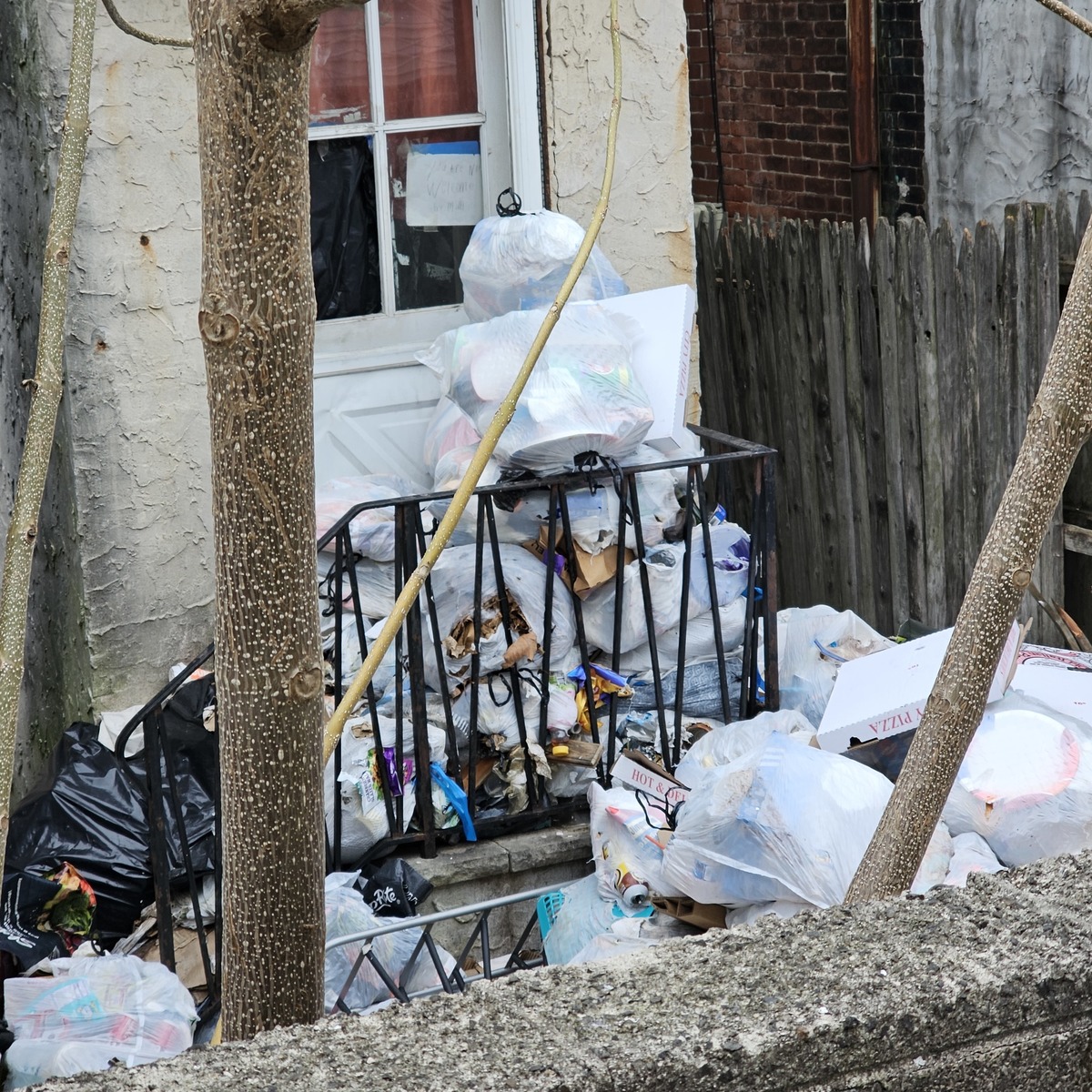 Photographic documentation of the work as submitted to the city's 311 record.
