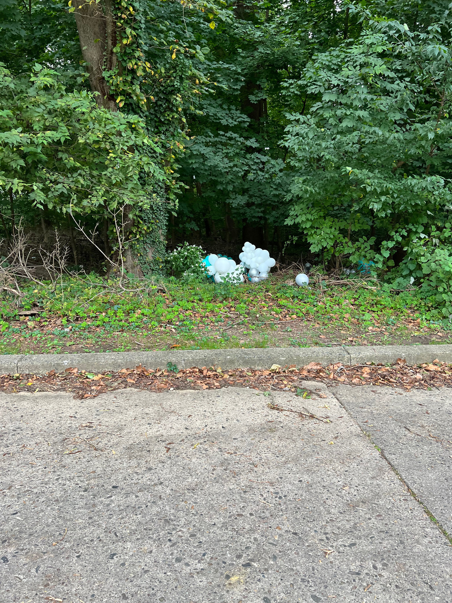 Photographic documentation of the work as submitted to the city's 311 record.