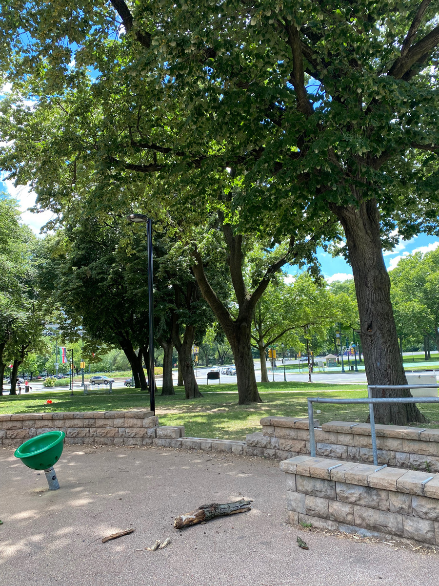 Photographic documentation of the work as submitted to the city's 311 record.