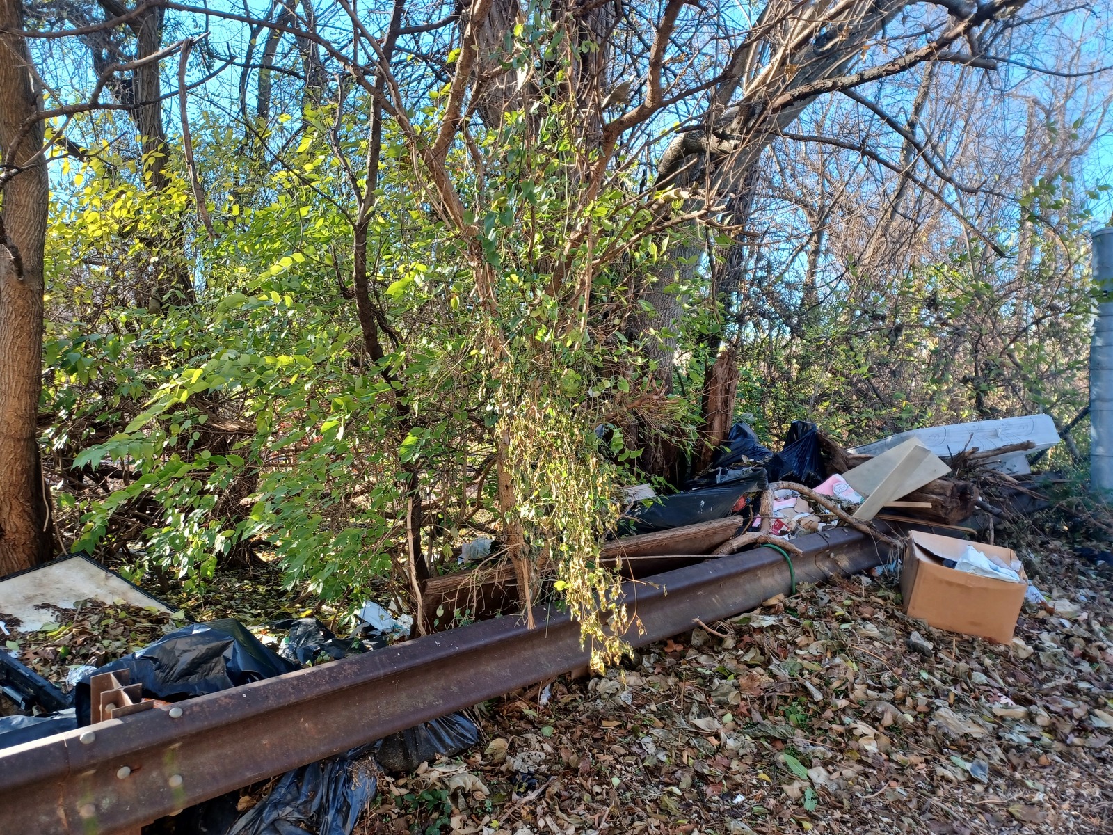 Photographic documentation of the work as submitted to the city's 311 record.