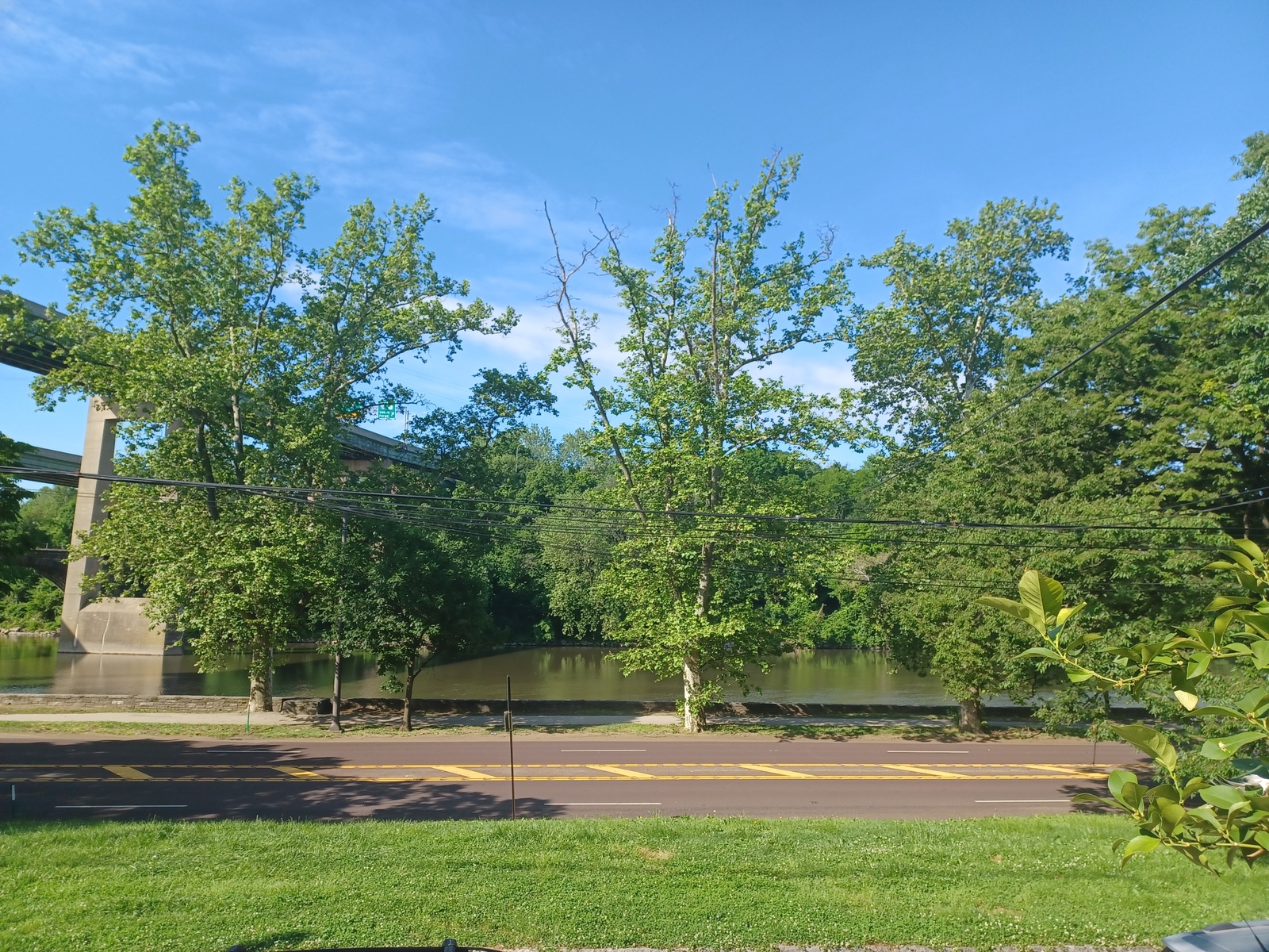 Photographic documentation of the work as submitted to the city's 311 record.