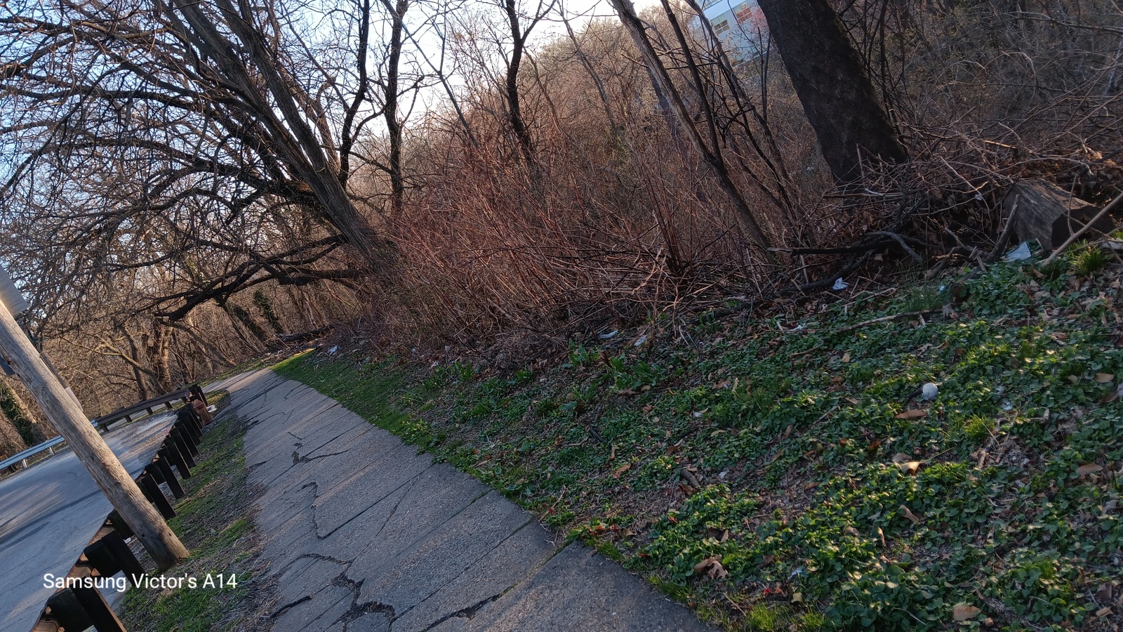 Photographic documentation of the work as submitted to the city's 311 record.