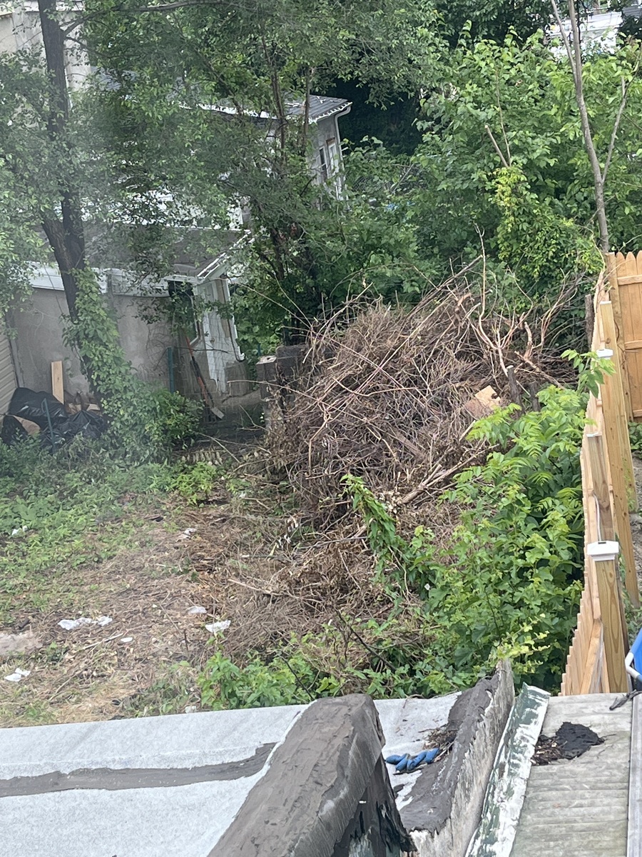 Photographic documentation of the work as submitted to the city's 311 record.