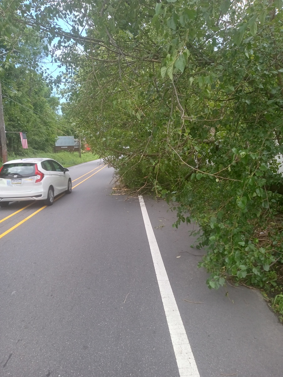 Photographic documentation of the work as submitted to the city's 311 record.