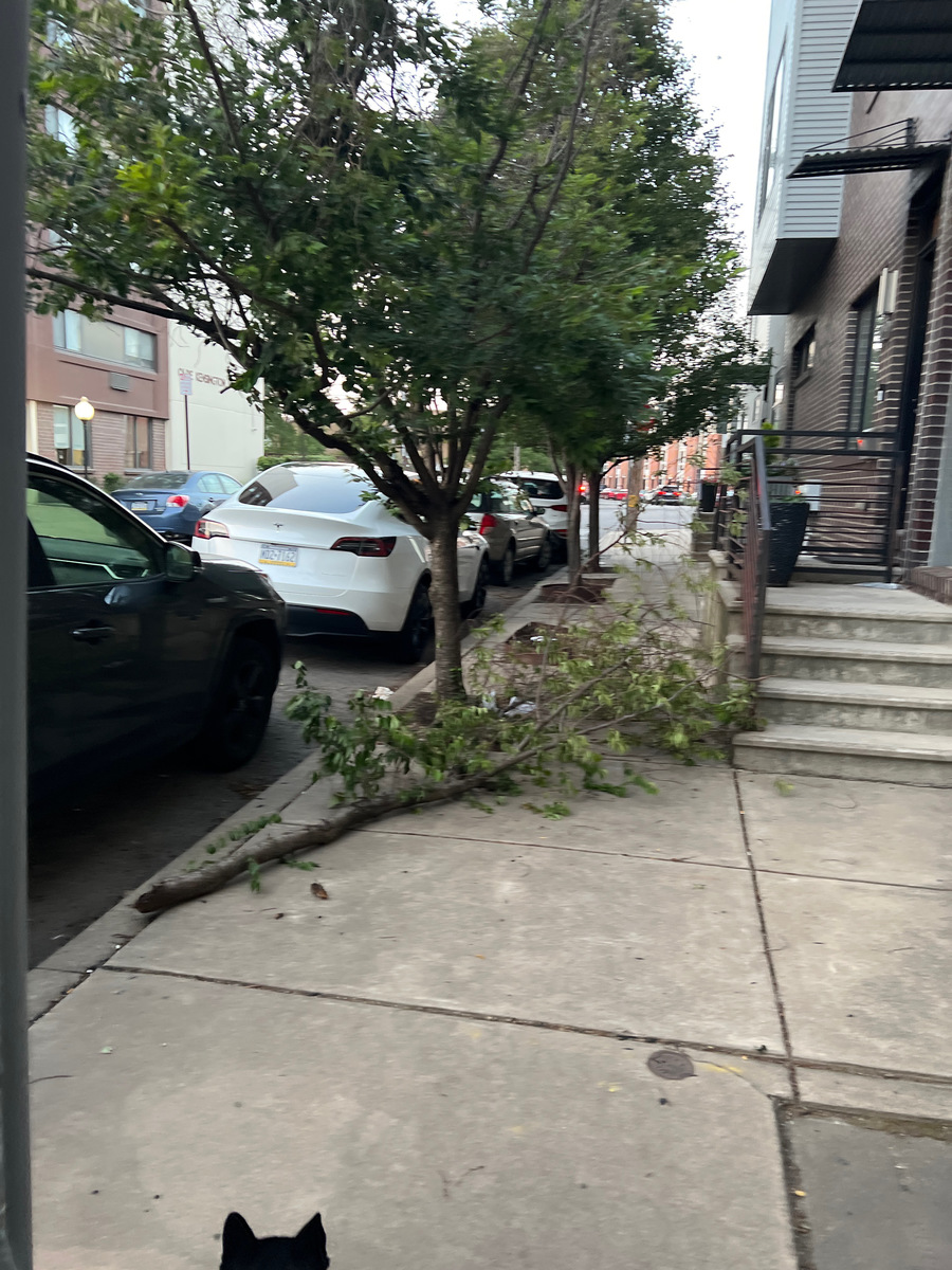 Photographic documentation of the work as submitted to the city's 311 record.