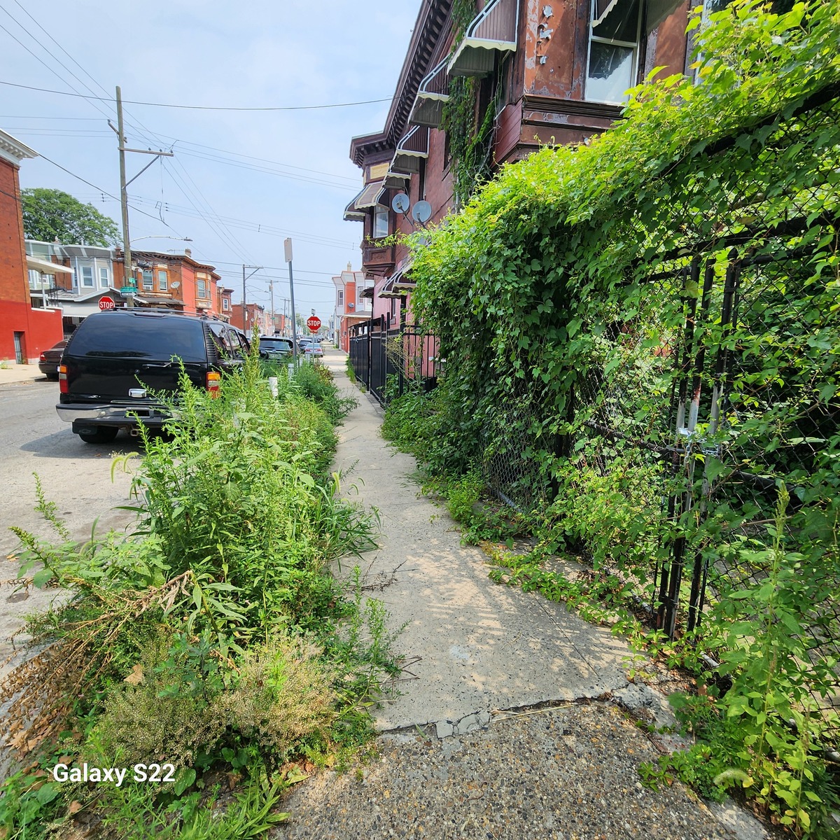Photographic documentation of the work as submitted to the city's 311 record.