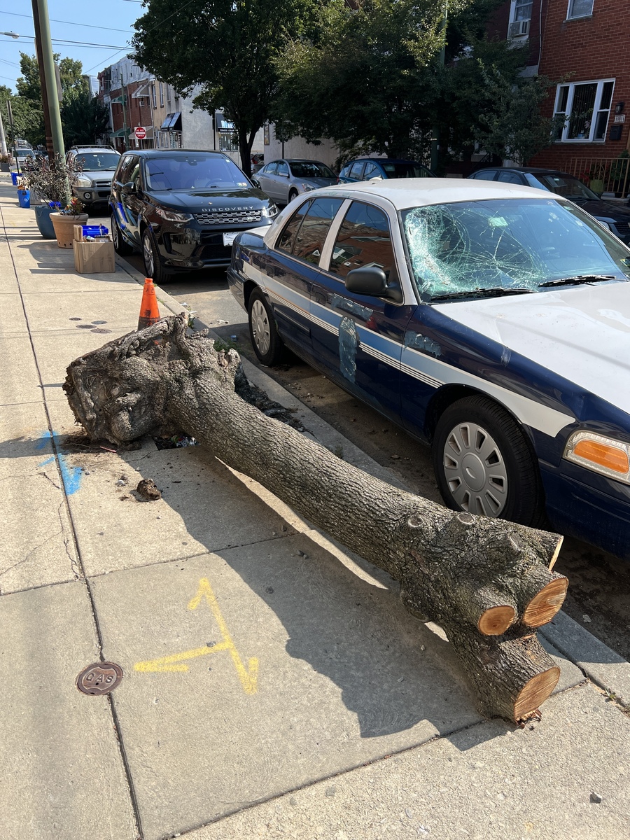 Photographic documentation of the work as submitted to the city's 311 record.