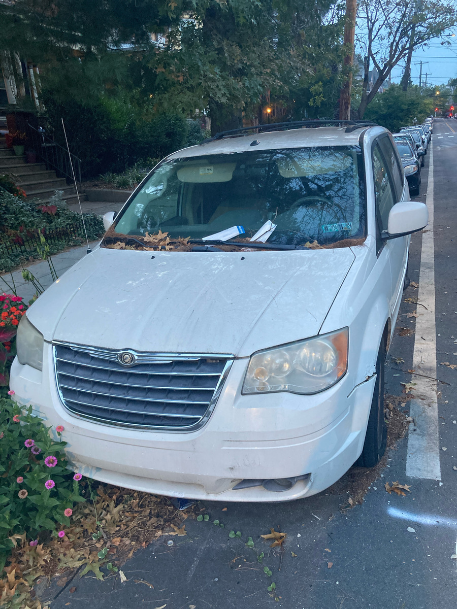 Photographic documentation of the work as submitted to the city's 311 record.