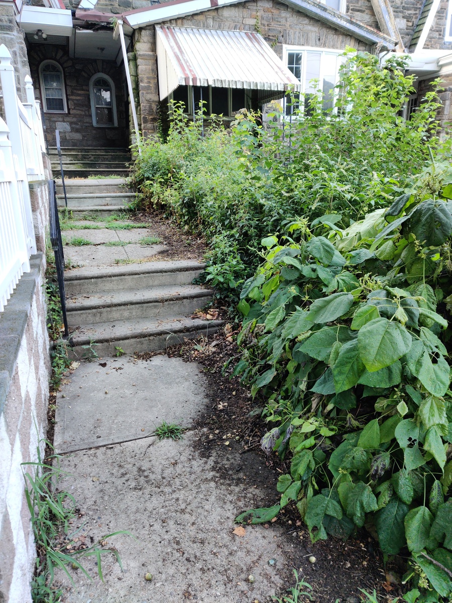 Photographic documentation of the work as submitted to the city's 311 record.