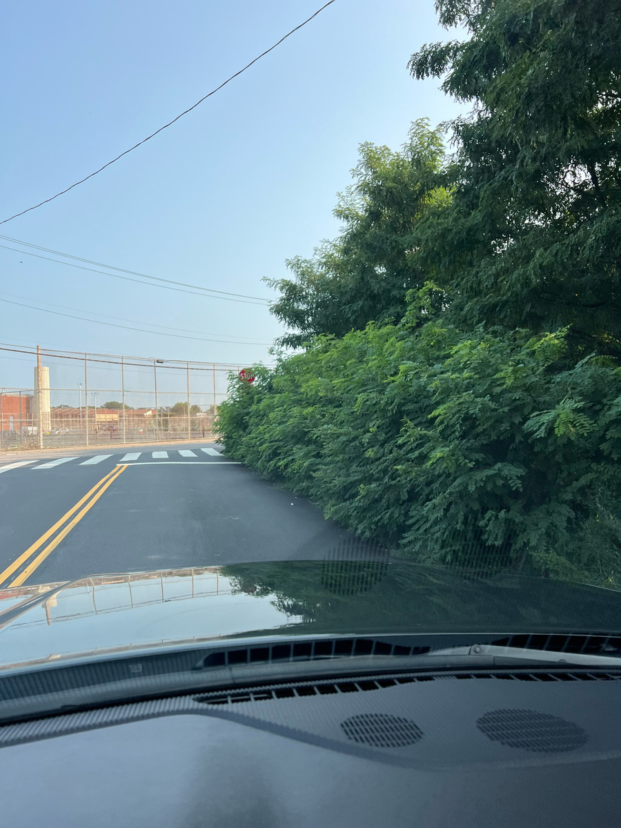 Photographic documentation of the work as submitted to the city's 311 record.