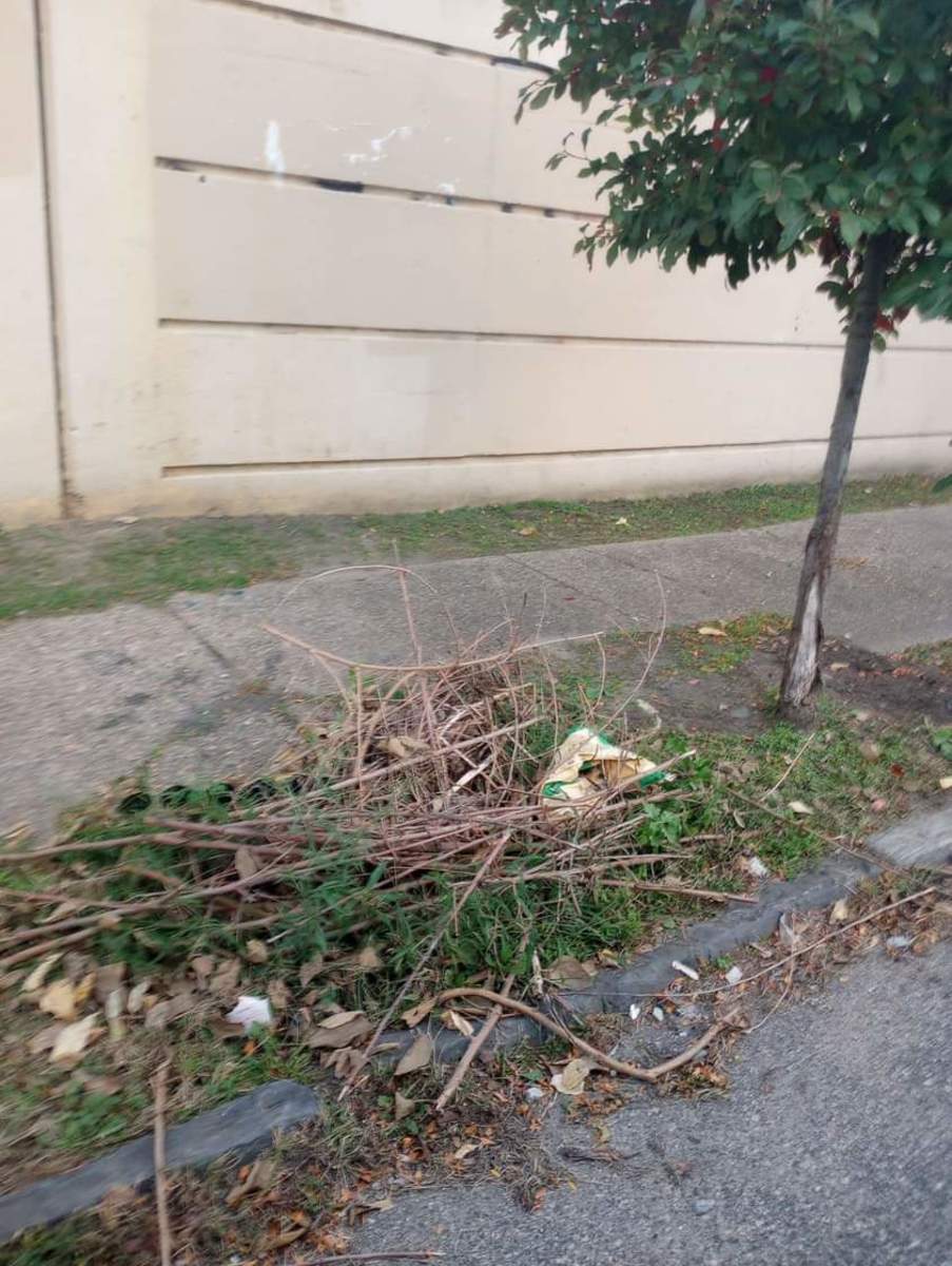 Photographic documentation of the work as submitted to the city's 311 record.