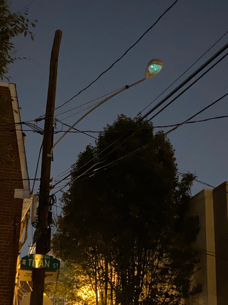 Photographic documentation of the work as submitted to the city's 311 record.