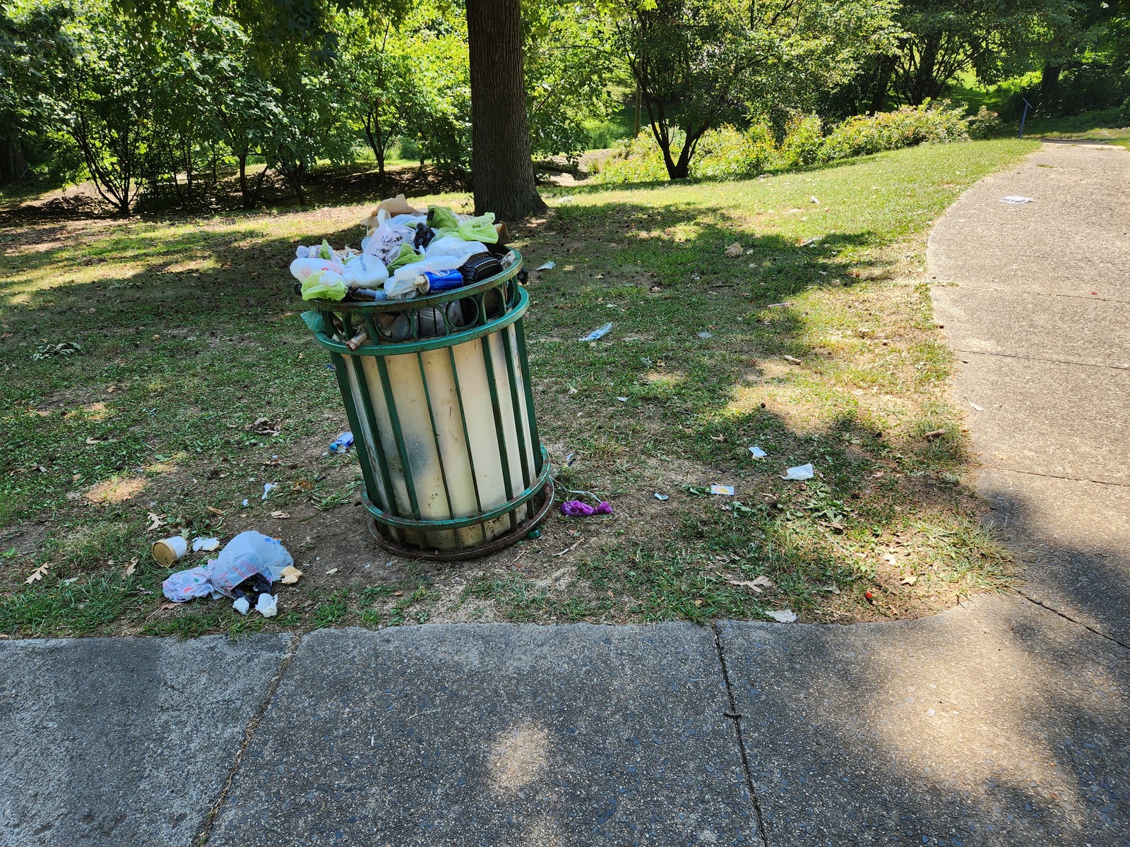 Photographic documentation of the work as submitted to the city's 311 record.