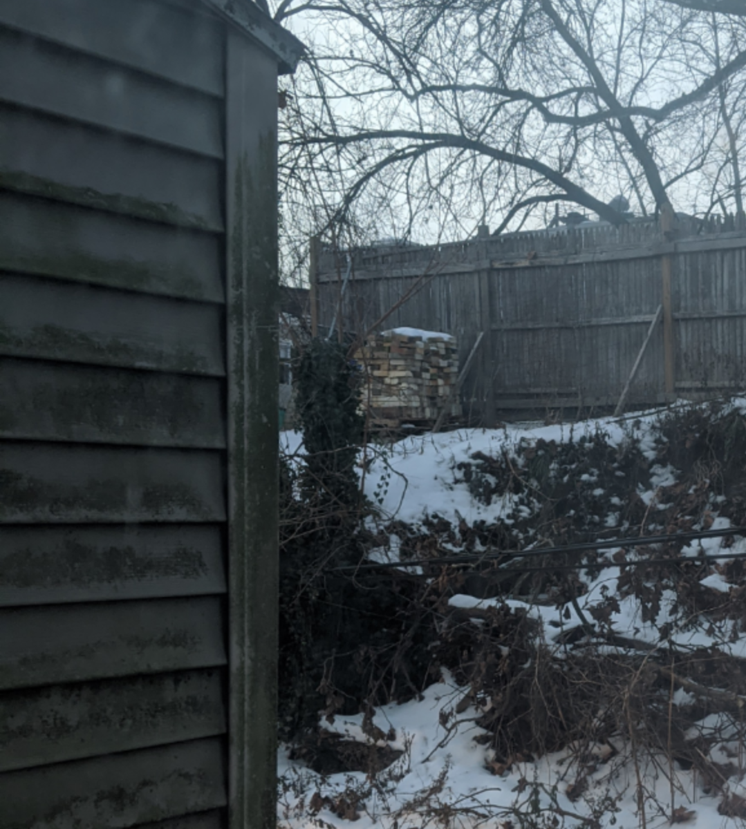 Photographic documentation of the work as submitted to the city's 311 record.