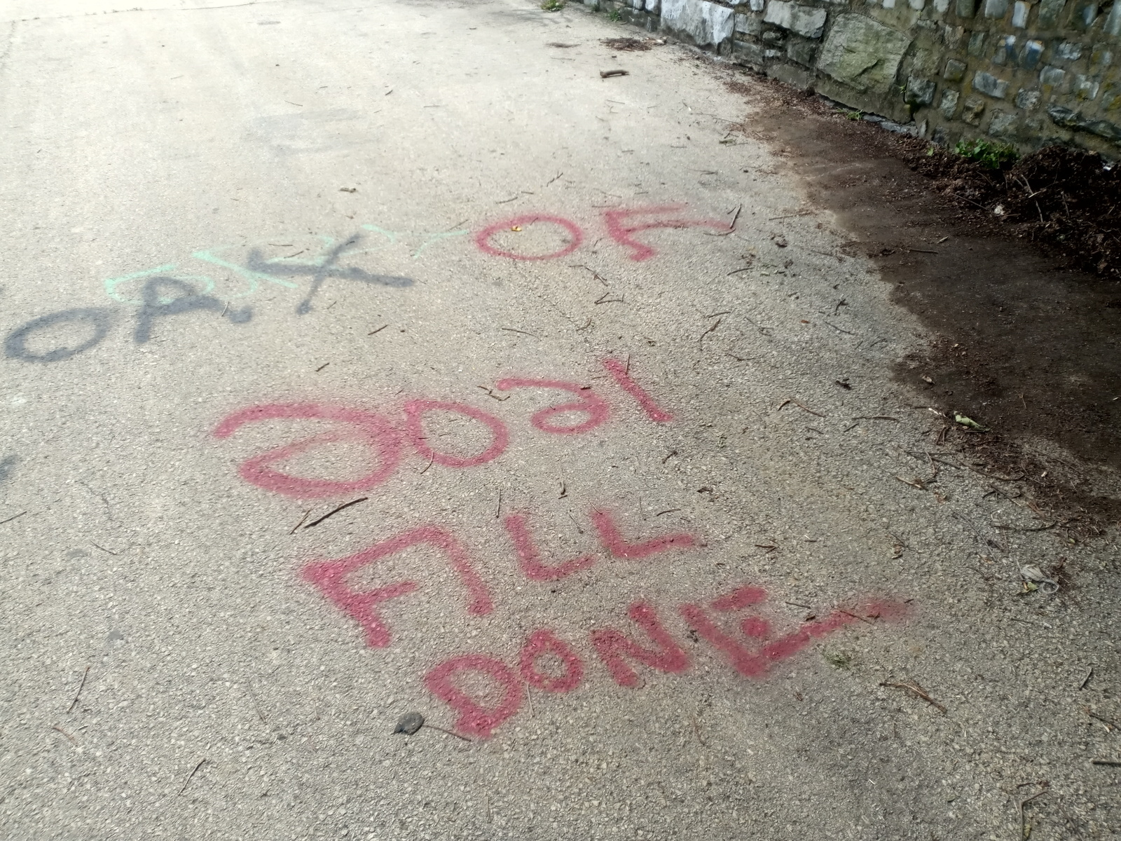 Photographic documentation of the work as submitted to the city's 311 record.