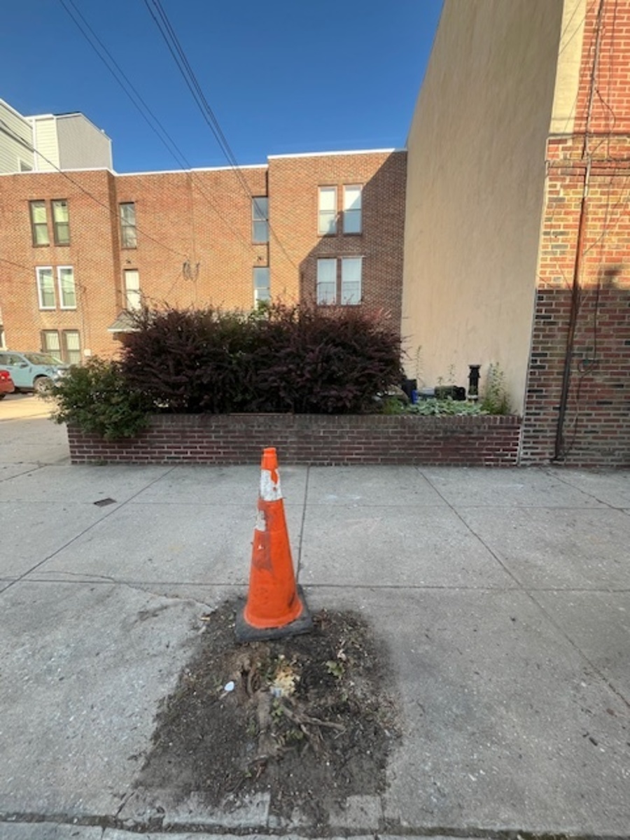 Photographic documentation of the work as submitted to the city's 311 record.