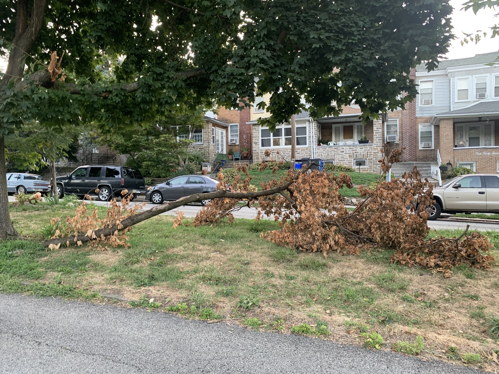 Photographic documentation of the work as submitted to the city's 311 record.